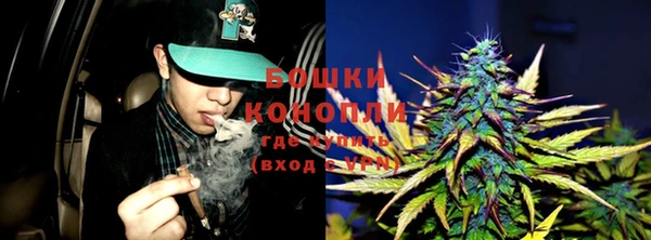 бошки Алзамай