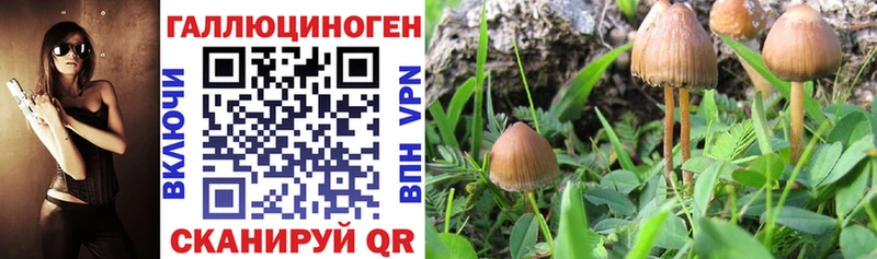 мориарти официальный сайт  Мамоново  Псилоцибиновые грибы Magic Shrooms  хочу наркоту 